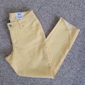 NWT INC Skinny Leg Curvy Fit Mid-rise Size 2